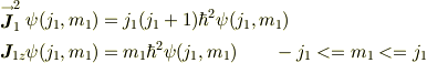 \stackrel{\to}{\bm{J}}_1^2 \psi(j_1, m_1) &= j_1(j_1 +1) \hbar ^2\psi(j_1, m_1)\\\bm{J}_{1z}\psi(j_1, m_1) &= m_1\hbar^2\psi(j_1, m_1) \qquad -j_1 <= m_1 <= j_1