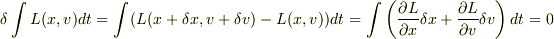 \delta\int L(x,v)dt=\int (L(x+\delta x,v+\delta v)-L(x,v))dt=\int \left(\frac{\partial L}{\partial x}\delta x+\frac{\partial L}{\partial v}\delta v\right)dt=0