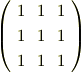\left(\begin{array}{ccc}1 &1 &1 \\ 1 &1 &1 \\1 &1 &1 \end{array}\right)