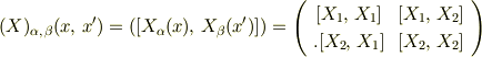(X)_{\alpha,\,\beta}(x,\,x^\prime)=\left([ X_\alpha(x) ,\,X_\beta (x^\prime)]\right)=\left(\begin{array}{cc}[X_1,\, X_1]&[X_1,\, X_2]\\. [X_2,\,X_1] &[X_2,\, X_2]\end{array}\right)