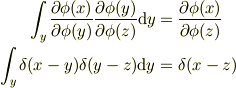 \int_y\frac{\partial \phi(x)}{\partial \phi(y)}\frac{\partial \phi(y)}{\partial \phi(z)}\mathrm{d}y &= \frac{\partial \phi(x)}{\partial \phi(z)}\\\int_y \delta(x-y)\delta(y-z)\mathrm{d}y &= \delta(x-z)