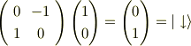 \left(\begin {array} {ccc} 0 &-1 \\1 & 0 \\\end {array} \right)\begin{pmatrix} 1 \\ 0 \end{pmatrix}= \begin{pmatrix} 0 \\ 1 \end{pmatrix}= | \downarrow  \rangle
