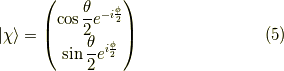 | \chi \rangle = \begin{pmatrix}\cos \dfrac{\theta}{2} e^{-i\frac{\phi}{2}} \\\sin \dfrac{\theta}{2} e^{i\frac{\phi}{2}}\end{pmatrix}\tag{5}
