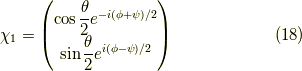 \chi_{1} &= \begin{pmatrix}\cos \dfrac{\theta}{2} e^{-i(\phi+\psi)/2}\\\sin \dfrac{\theta}{2} e^{ i(\phi-\psi)/2}\end{pmatrix} \tag{18}