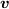 <tex>\bm{v}</tex>